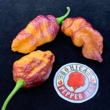 Pink Tiger x Peach Bhut - Seeds - The Pepper Pantry (Formerly Marie Sharp's)